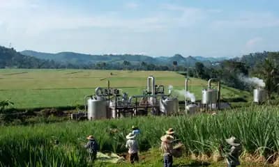 Global Citral Industry, Its Sources, Uses and Benefits